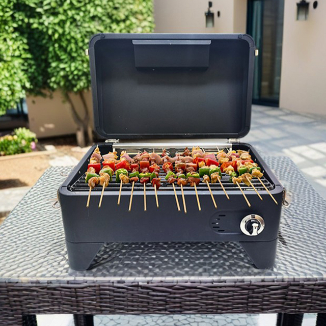 GD0002G Portable Gas Grill Griddle Portable Camping Vertical Gas Grill Griddle
