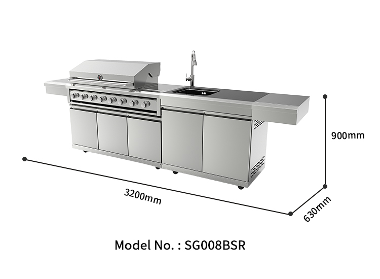 SG008BSR-20250224 (2)