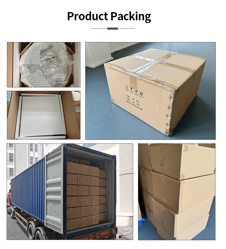 eur-AP225WT-20250528 (9)