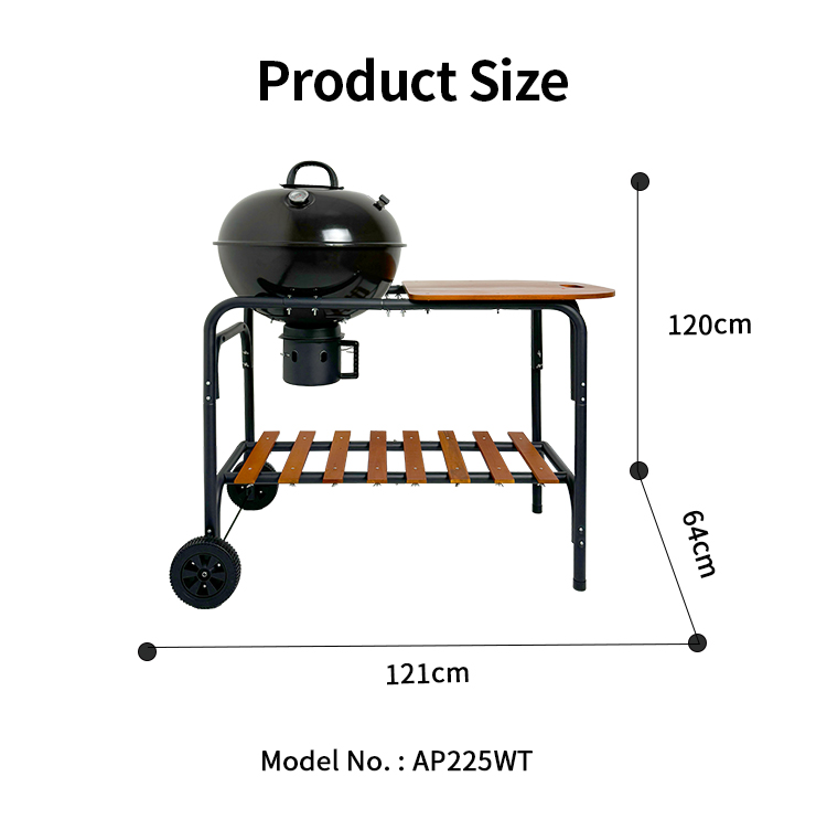 eur-AP225WT-20250528 (2)