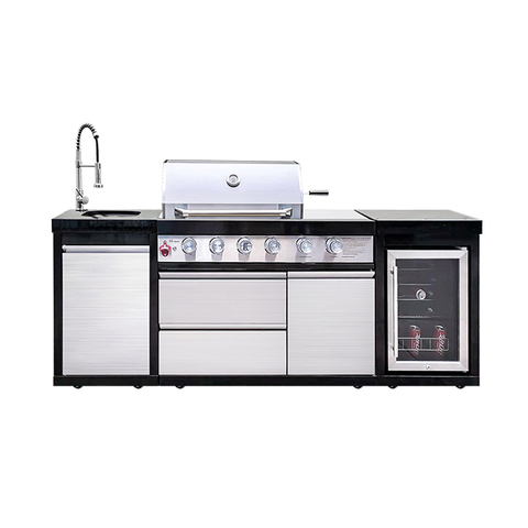 BW411-SI Outdoor Party Full Stainless Garden BBQ Gas Grill Party Barbecue Machine Modern Kitchen with Island