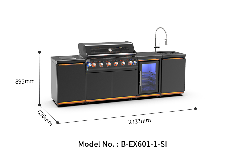 B-EX601-1-SI-20250409_02